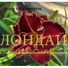 BECKY KILKO MEMORIAL