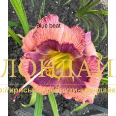 BLUE BEAT