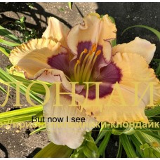 BUT NOW I SEE