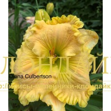 DIANA CULBERTSON
