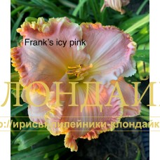 FRANK'S ICY PINK