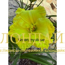GREEN MYSTIQUE