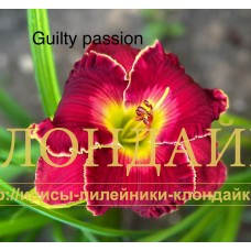 GUILTY PASSION