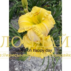 GUY'S OH HAPPY DAY