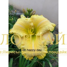 GUY'S OH HAPPY DAY