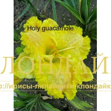 HOLY GUACAMOLE