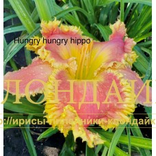 HUNGRY HUNGRY HIPPO