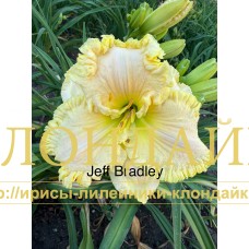 JEFF BRADLEY