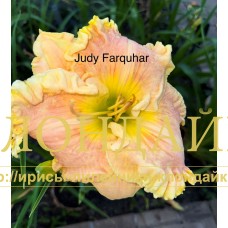 JUDY FARQUHAR