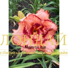 MAJORCA ISLE