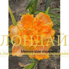 MEMORABLE MOMENTS