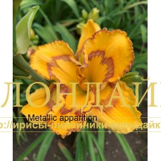 METALIC APPARITION