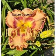 NATURE'S POETRY