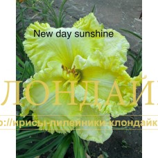 NEW DAY SUNSHINE