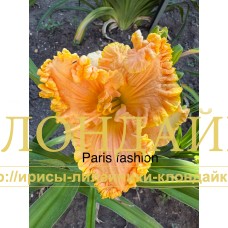 PARIS FASHION