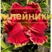 RED EDITION