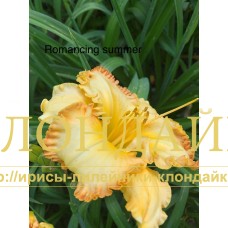ROMANCING SUMMER