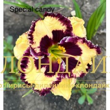 SPECIAL CANDY