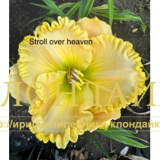 STROLL OVER HEAVEN