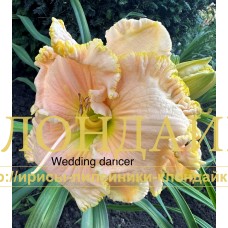 WEDDING DANCER