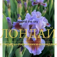 BEYOND THE SKY ( SDB )