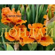 CARROT FLASH ( SDB )