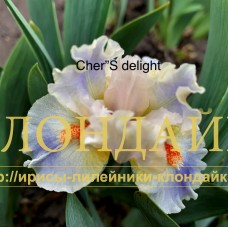 CHER'S DELIGHT ( SDB )