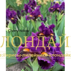 CHERRY HOLLOW ( SDB )