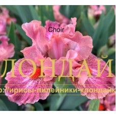 CHOIR ( SDB )