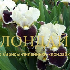 COCONINO ( SDB )
