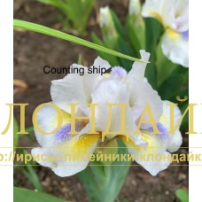 COUTING SHEEP ( SDB )