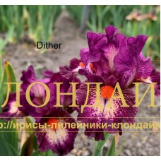 DITHER ( SDB )