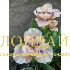 FASHION BABY ( SDB )