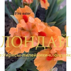 FIRE EATER ( SDB )
