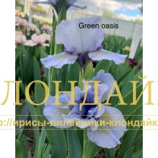GREEN OASIS ( SDB )