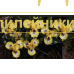 HIT THE JACKPOT ( SDB )