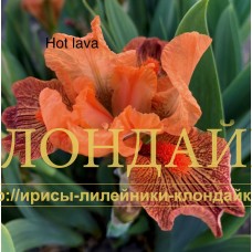 HOT LAVA ( SDB )
