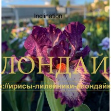 INCLINATION ( SDB )