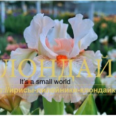 IT'S A SMALL WORD ( SDB )