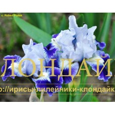 JOLMEN ( SDB )