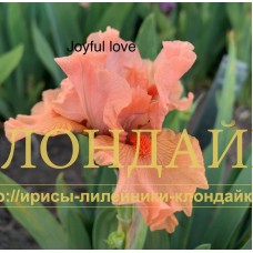 JOYFUL LOVE ( SDB )