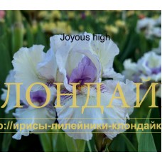 JOYOUS HIGH ( SDB )