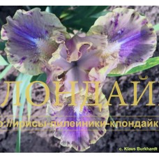 LEOPARD PRINT ( SDB )