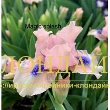 MAGIC SPLASH ( SDB )
