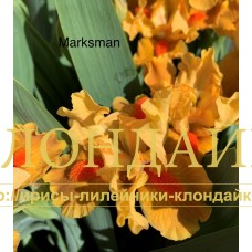 MARKSMAN ( SDB )