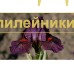 NOTATION ( SDB )