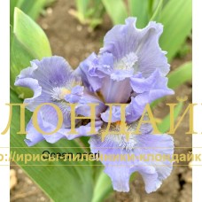 OCEAN PEARL ( SDB )