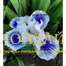 OPEN YOUR EYES ( SDB )