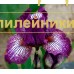 RETORT ( SDB )