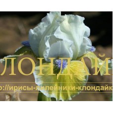SKY AND MEADOW ( SDB )